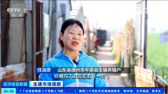 出栏了！头均可赚150-200，五一备货提振猪价