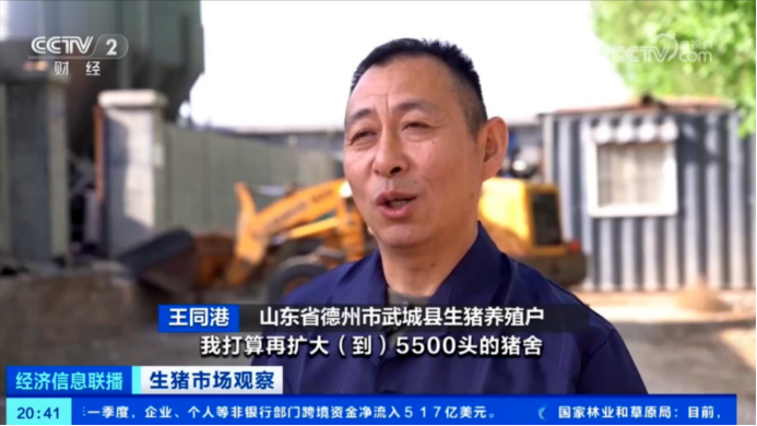 出栏了！头均可赚150-200，五一备货提振猪价